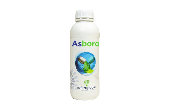 Asboro