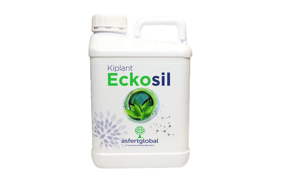 Eckosil